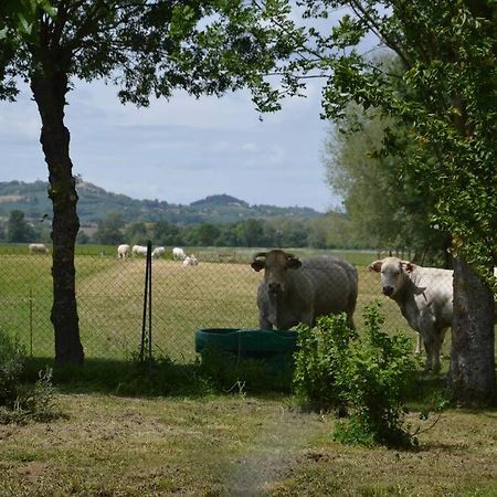 Gite A La Ferme De La Bouriette Ревель Экстерьер фото