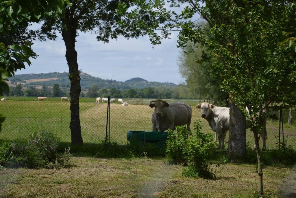 Gite A La Ferme De La Bouriette Ревель Экстерьер фото